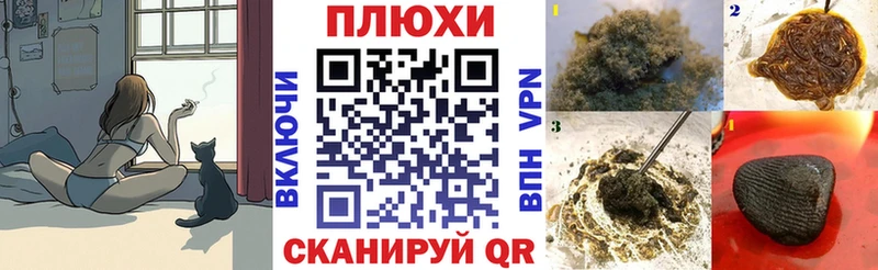 ГАШ гарик Димитровград
