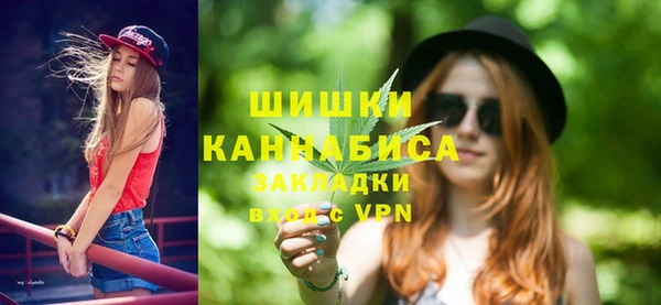 шишки Богородск