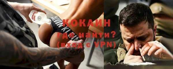 шишки Богородск