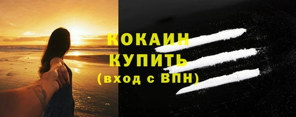 шишки Богородск