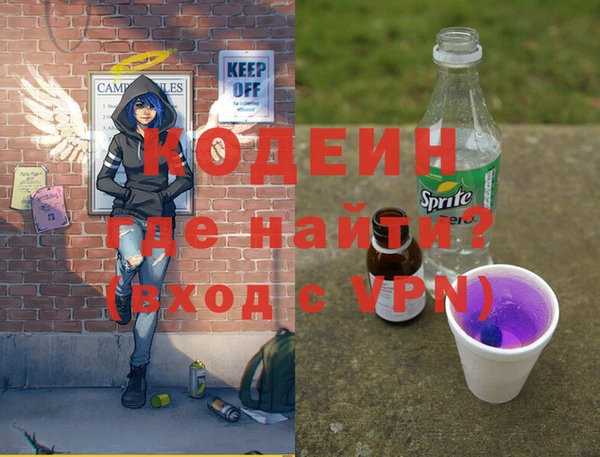 шишки Богородск