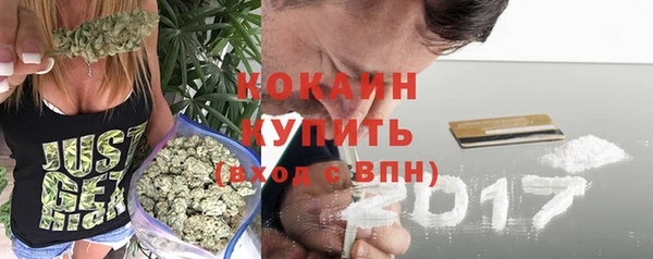 шишки Богородск