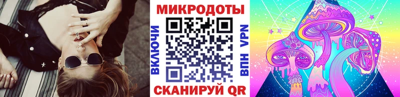 купить наркоту Димитровград Псилоцибиновые грибы мицелий