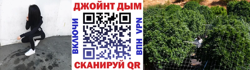 Конопля план Димитровград